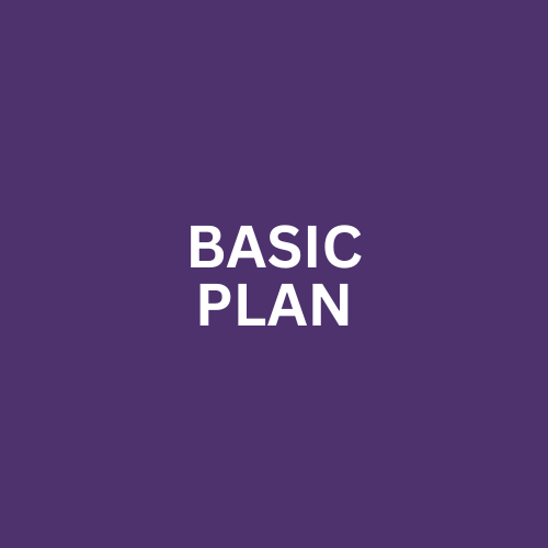 Basic Plan